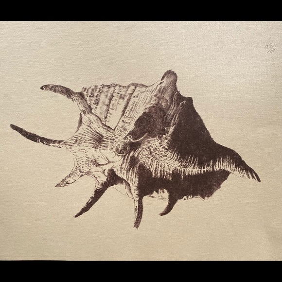 Sea Shell Prints-Limited Edition and Numbered. - Picture 7 of 7